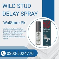 Wild Stud Delay Spray In Pakistan
